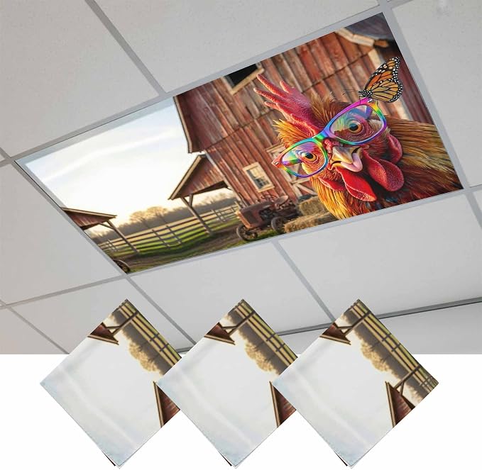 Lighting Accessories