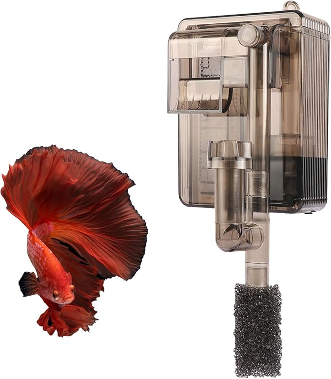 Aquarium Accessories