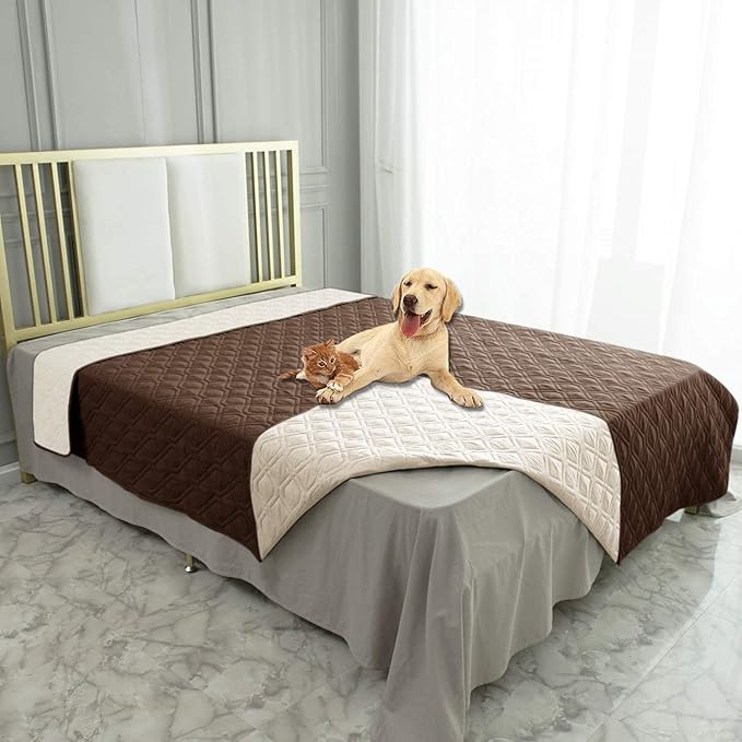 Bedroom Beds & Furniture