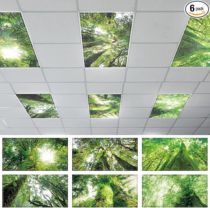 Ceiling Lights