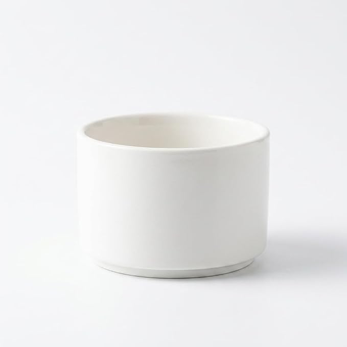 Decorative Container Ceramic Bamboo Indoor Planter Low Maintenance Air by Leefasy