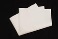 Flat 24" x 30" Maple Syrup Filter by Liberty+Supply