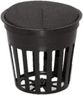 2 Inch net Slit mesh Pot with 2 inch Neoprene Insert Combination Pack by CLONE+KING