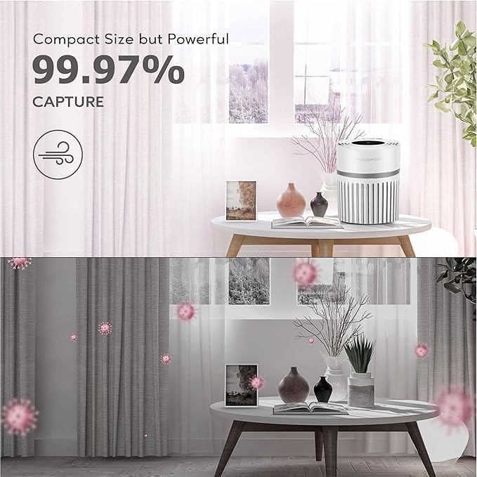 MEGAWISE EPI810 Air Purifier equipped - Image 3