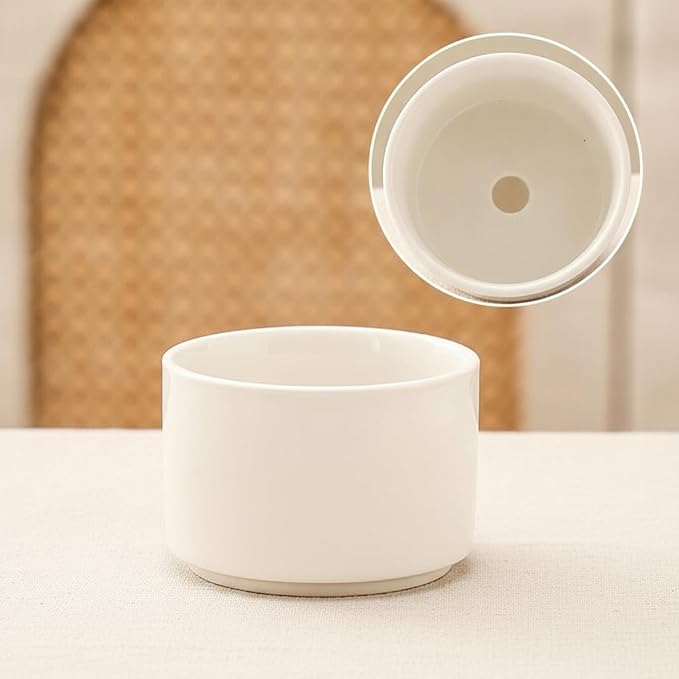 Decorative Container Ceramic Bamboo Indoor Planter Low Maintenance Air - Image 3