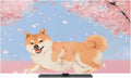 Japanese Cute Akita Dogs Indoor TV Cover, Elastic TV Screen Protector Cherry by Unknown
