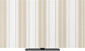Minimalist Vertical Stripes Indoor TV Cover, Elastic TV Screen Protector Beige by Unknown