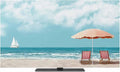 Summer Beach Sails Ocean Waves Indoor TV Cover, Elastic TV Screen Protector by Unknown