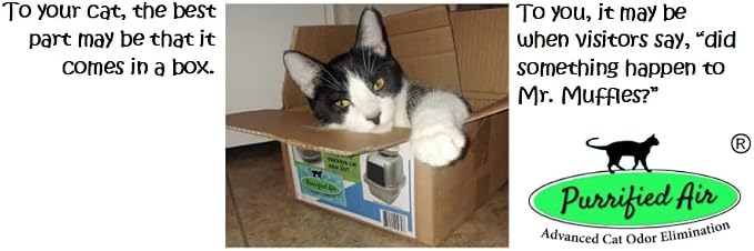 Product Bundle B - Image 8