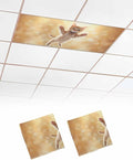 Cute Orange Cat Fluorescent Light Covers by Unknown