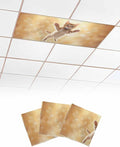 Cute Orange Cat Fluorescent Light Covers by Unknown