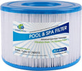F4Y- PLF-INTS1 Pool Filter Replacement Compatible by Filters4you