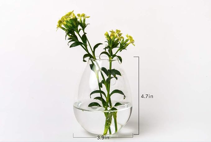 Kingbuy Egg Shaped for Propagating Hydroponic Plants 2 Pack Wall Planter | - Image 8
