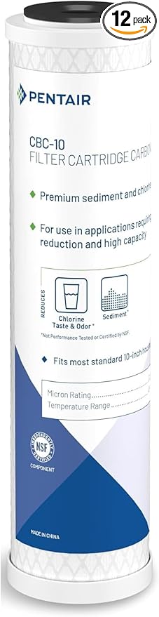 Pentair Pentek CBC-10 Under-the-Counter Carbon_Water Filter, Carbon Block by PENTAIRPENTEK