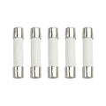 5-Pack 6×30mm 250V 10A Fast-Blow Ceramic Fuses, 35A Interrupting Rating by Unknown
