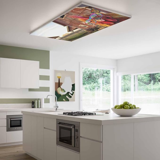 2x4 ft Fluorescent Light Cover for Ceiling Farm Funny Chicken Magnetic Light - Image 2