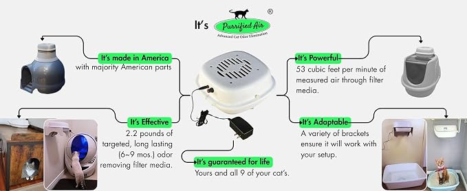 Product Bundle B - Image 5