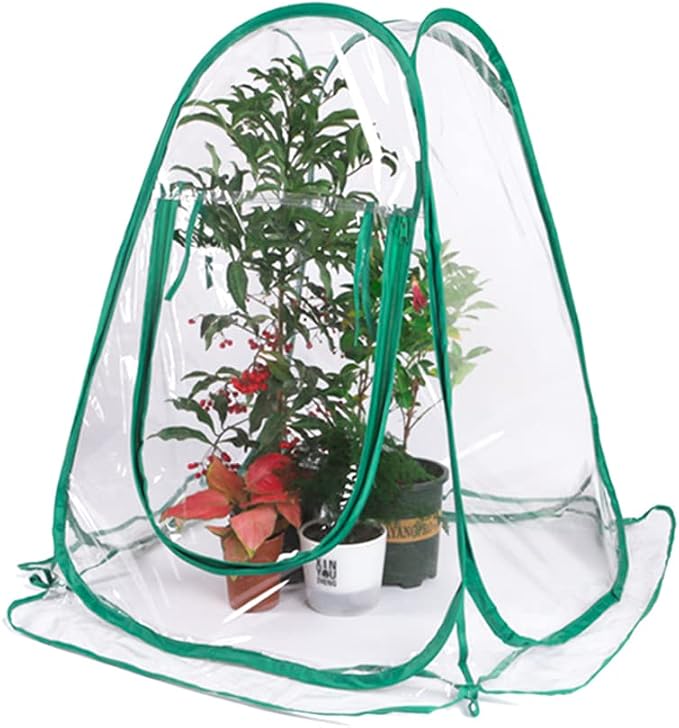 Pop Up Greenhouse Mini Plant Cover - Image 3