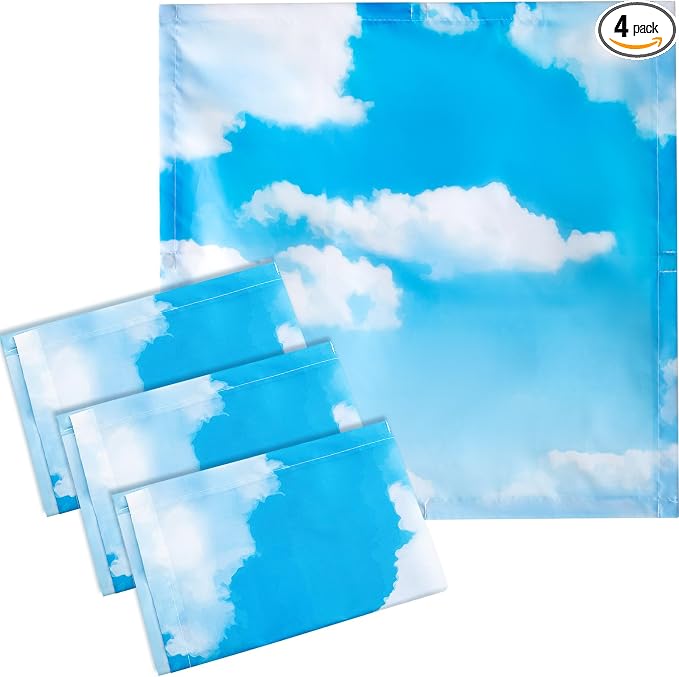 VIHOSE 4 Pcs 2 x 2 Feet Fluorescent Light Covers by VIHOSE