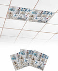 Yukro 3 Pack Ocean Theme Fluorescent Light Covers Coastal Beach Starfish Shell by Unknown