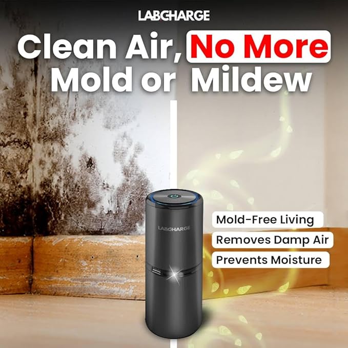 Lab Charge Small Ionic Air Purifier - Image 5