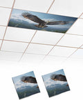 2 Pcs Fluorescent Light Covers for Ceiling Lights, Bald Eagle Soaring Above by Chees+D+Zone