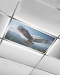 1 Pcs Fluorescent Light Covers for Ceiling Lights, Bald Eagle Soaring Above by Chees+D+Zone