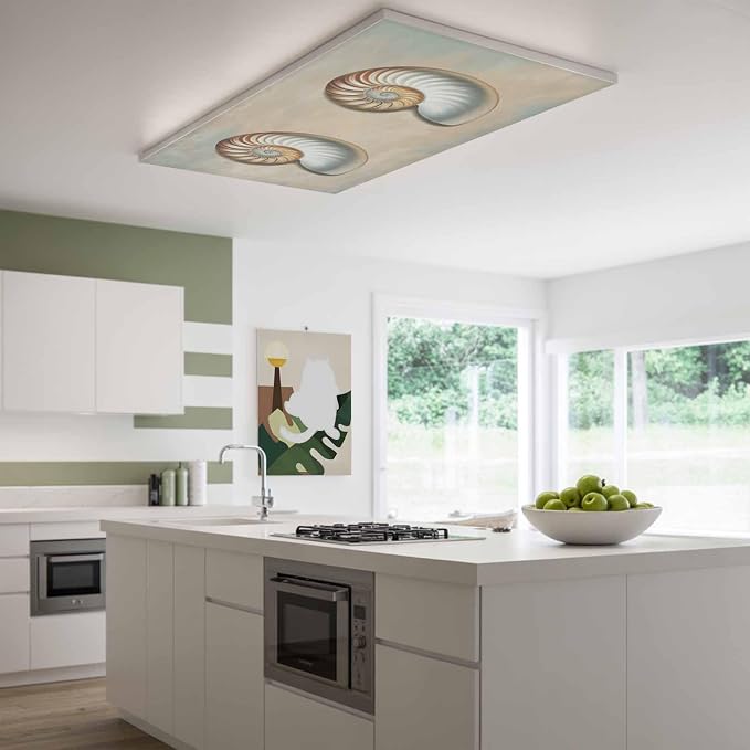 Fluorescent Light Covers for Ceiling Lights Shell Conch Magnetic Light Filters - Image 2