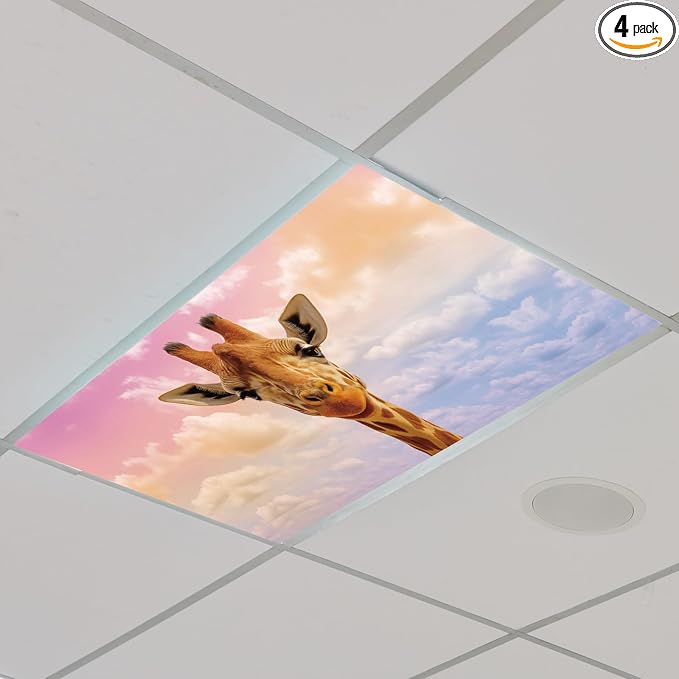 Outus 4 Pcs Fluorescent Light Cover Classroom Lighting Cover by Outus