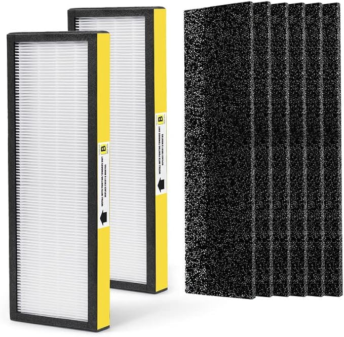 AC4825 HEPA Filter B Replacement Compatible by Nisreen
