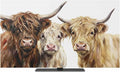 Farmhouse Highland Cows Indoor TV Cover, Elastic TV Screen Protector Watercolor by Unknown