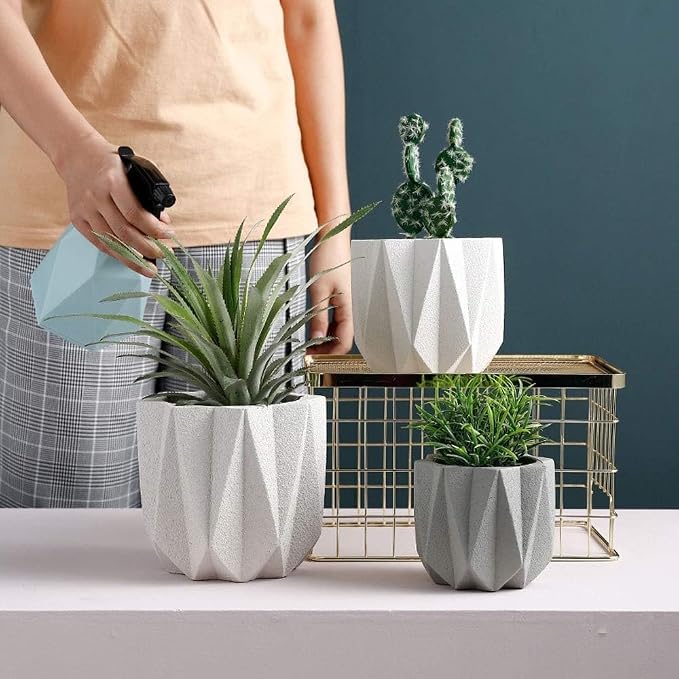 Outdoor Succulent Plantpot Cactus Plant Container Cement Flowerpot Container - Image 6