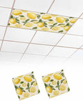 2 Pack Country Watercolor Fluorescent Light Covers by Unknown