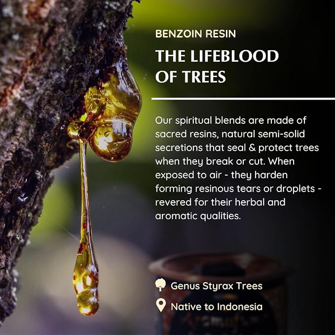 Benzoin Incense Bricks & Flower of Life Exotic Incense Burner by Aromafume | 2 - Image 4