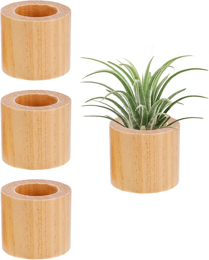 Bigmeta 3 Pcs Wood Air Plant Holder, 1.4" Rustic Style Airplant Display Stands by Bigmeta
