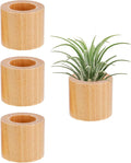 Bigmeta 3 Pcs Wood Air Plant Holder, 1.4" Rustic Style Airplant Display Stands by Bigmeta