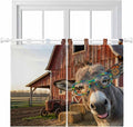 Farm Donkeys Bedroom Curtains 63 Inch Length, Window Curtains Tab Top, by Unknown