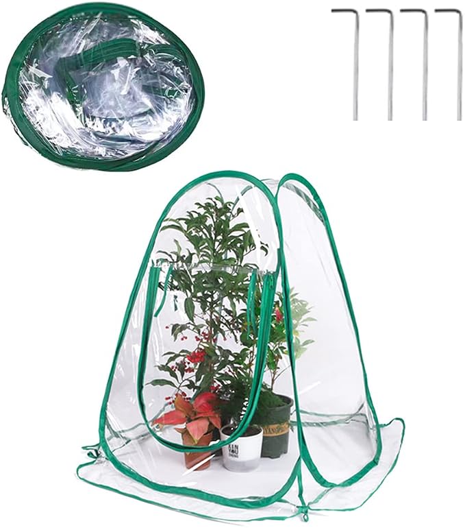 Pop Up Greenhouse Mini Plant Cover by Unknown