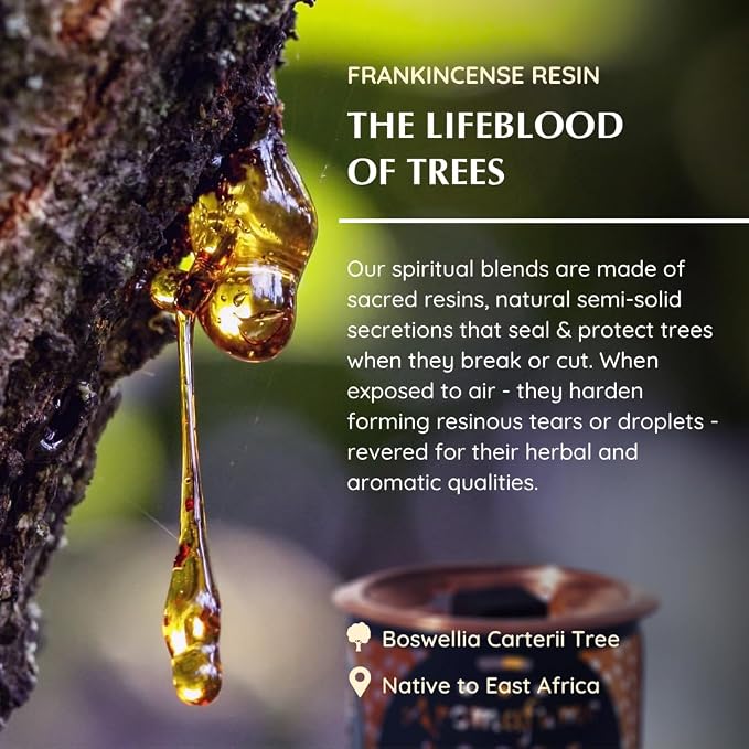 Aromafume Frankincense Incense Bricks Ideal - Image 6