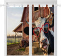 Farm Cows Living Room Curtains 84 Inch Length, Window Curtains Tab Top by Unknown