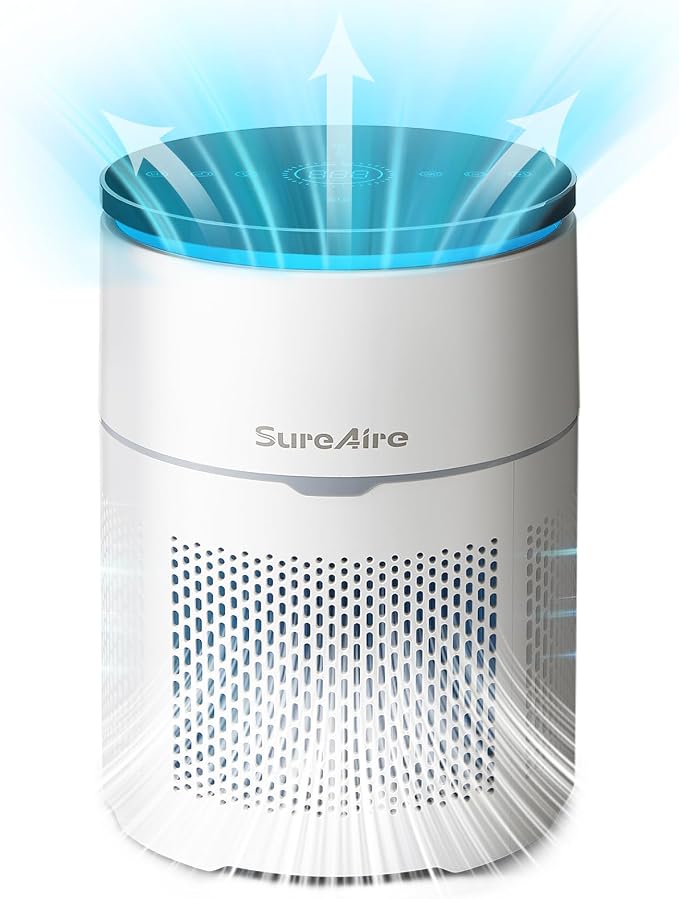 Hepa and Carbon Filter Air Purifier- True Air Purifier by Unknown