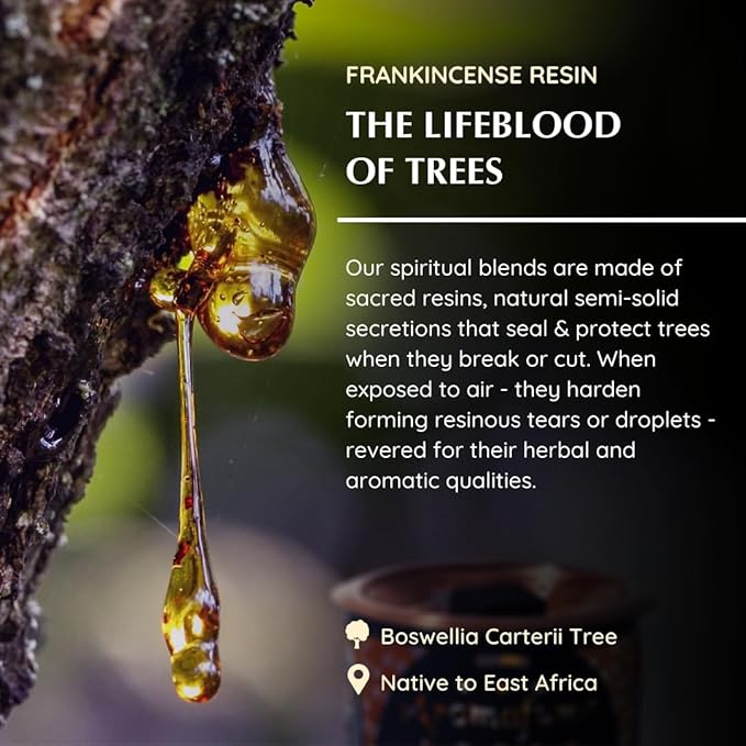 Frankincense Incense Bricks & Tree of Life Exotic Burner by Aromafume | 2 Trays - Image 6