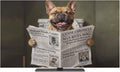 Funny Bulldog Reading Newspaper Indoor TV Cover, Elastic TV Screen Protector by Unknown