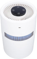 2 in 1 Air Purifier and Humidifier, 5W 4L Water Tank Quiet Humidifier, USB by Fockety
