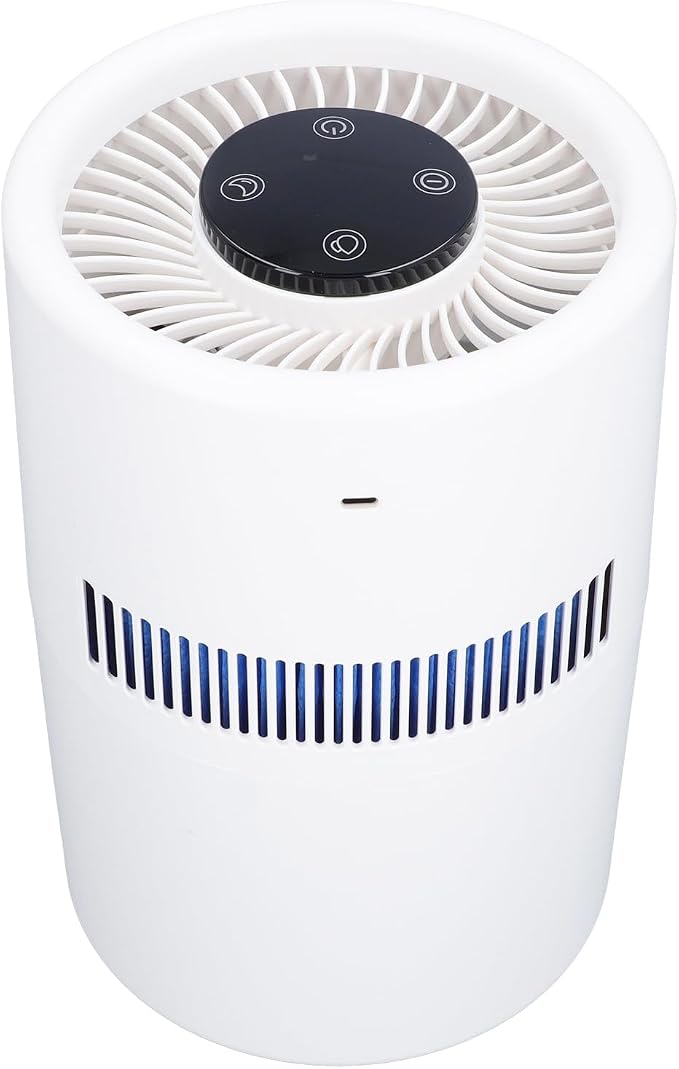 2 in 1 Air Purifier and Humidifier, 5W 4L Water Tank Quiet Humidifier, USB by Fockety