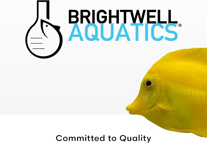 Brightwell Aquatics - Image 7