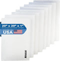 RAYAIR SUPPLY 20x20 Replacement Filter Pads Compatible by RAYAIR+SUPPLY