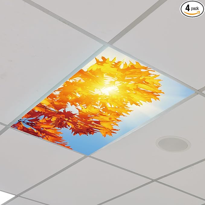 Outus Fluorescent Light Cover Classroom Lighting Cover by Outus