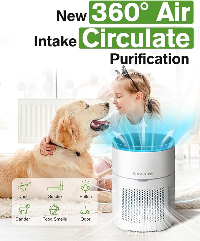 Hepa and Carbon Filter Air Purifier- True Air Purifier - Image 3