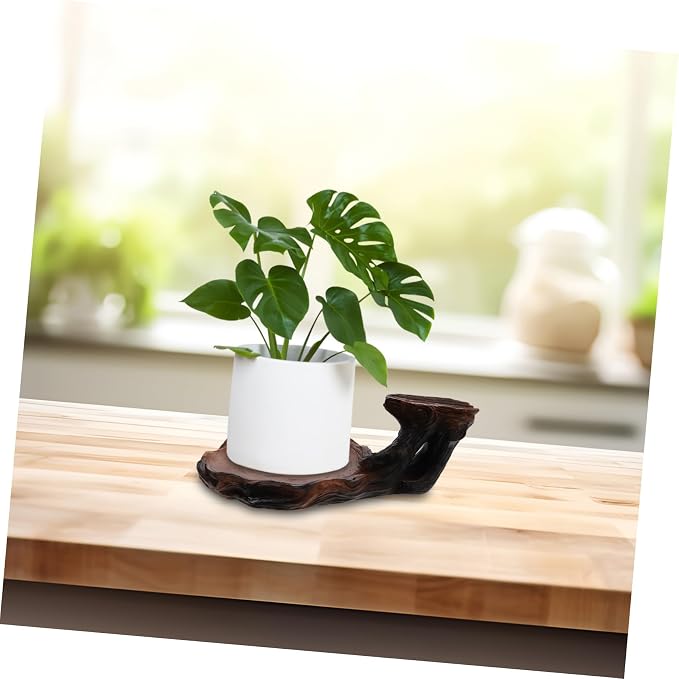 Carved Plant Stand Decorative Hydroponic Base - Image 9